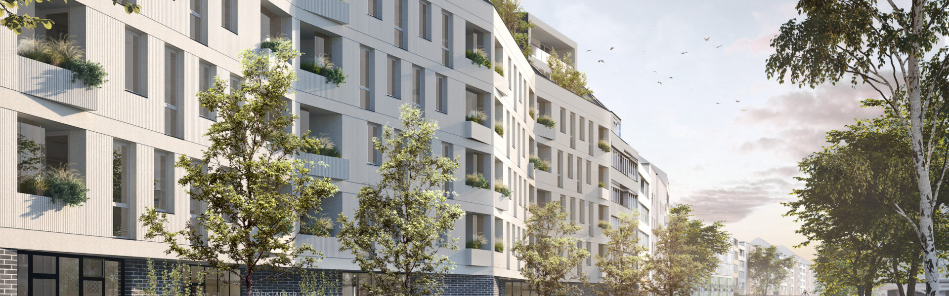 Panoramabild vom Bauprojekt: Freistädter Straße 13