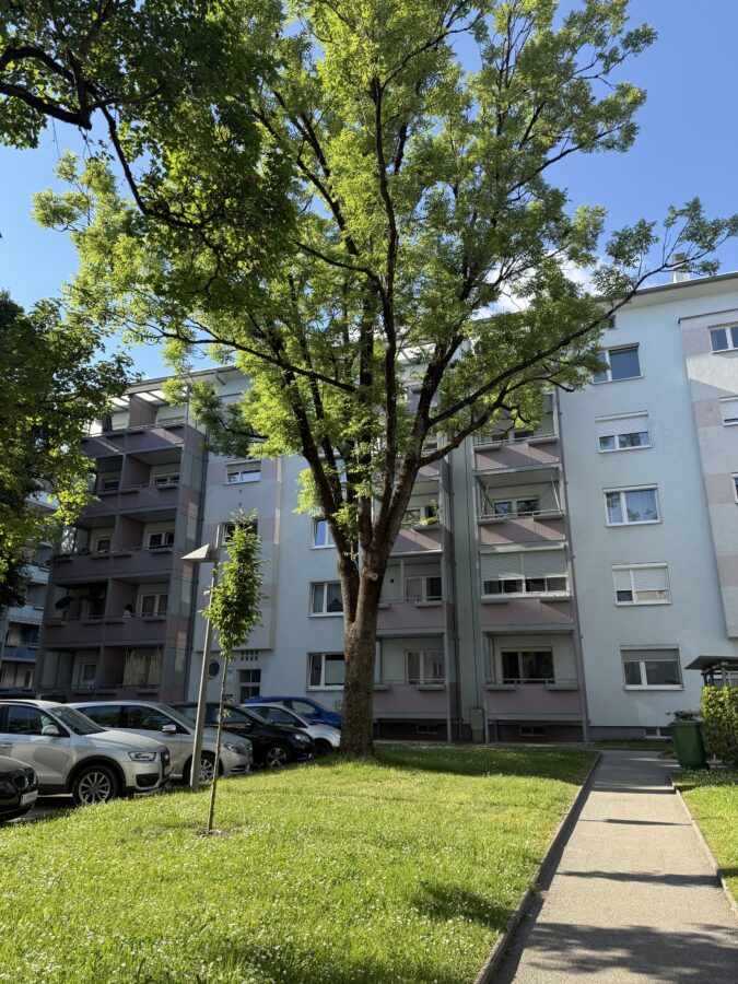 Nette 2 Raum Wohnung in Urfahr im 3. Stock **Lift vorhanden** - IMG_5168