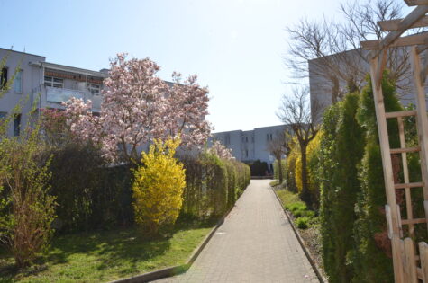 **2-Raum-Seniorenwohnung** mit eingerichteter Küche im 1. Stock und Balkon/Loggia, sowie fix zugeordnetem freistehenden PKW Abstellplatz –Anmietung nur für Menschen ab dem 70. Lebensjahr– oder ab dem 60. Lebensjahr mit gesundheitlichen Gründen–, 4030 Linz, Wohnung