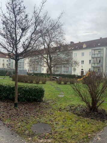 Im Erdgeschoß gelegene große 3-Raum-Wohnung in ruhiger Lage, 4040 Linz, Wohnung