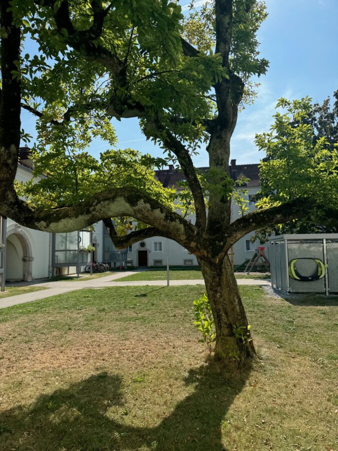 Großzügige 2 Zimmer Wohnung mit schönem Innenhof im 1ten Stock **kein Lift** - foto_whg2