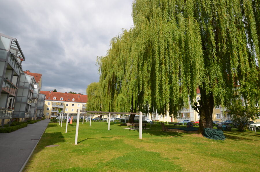 Schöne 3-Raum-Wohnung im 2. Stock mit Loggia in begehrter Lage in Urfahr **kein Lift** ** 1 Monat mietzinsfrei** - Innenhof2