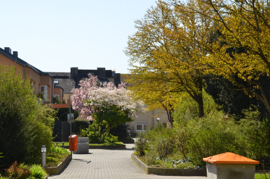 Ideal aufgeteilte 3-Zimmer-Wohnung mit großzügigem Balkon im 2ten Stock mit Ausblick ins Grüne, Bad mit Badfenster und WC getrennt **kein Lift** - DSC_Umgebung im Frühling
