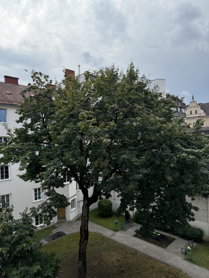 Singlewohnung mit kleiner Loggia und guter Anbindung an das Öffentliche Verkehrsnetz im 2. Stock **Lift** - IMG_9909
