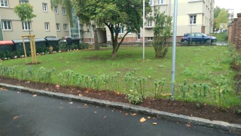 Perfekt aufgeteilte 2-Raum-Wohnung im Erdgeschoß, 4020 Linz, Wohnung