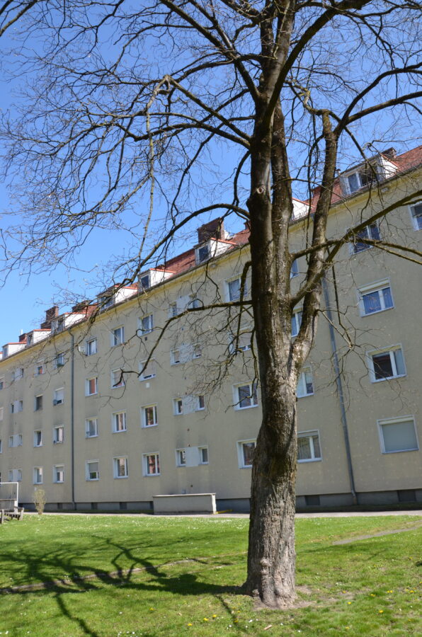 3-Zimmer Wohnung in Linz / Kleinmünchen - DSC_4253