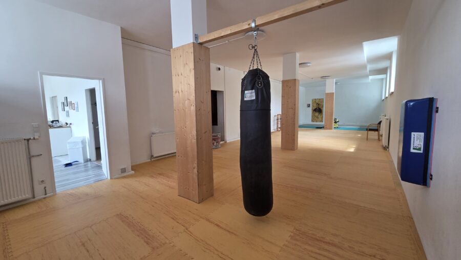 Vielseitige Gewerbefläche in Linz-Kleinmünchen – ideal für Studio, Praxis oder Schulung - Lokal_Denkstraße_23