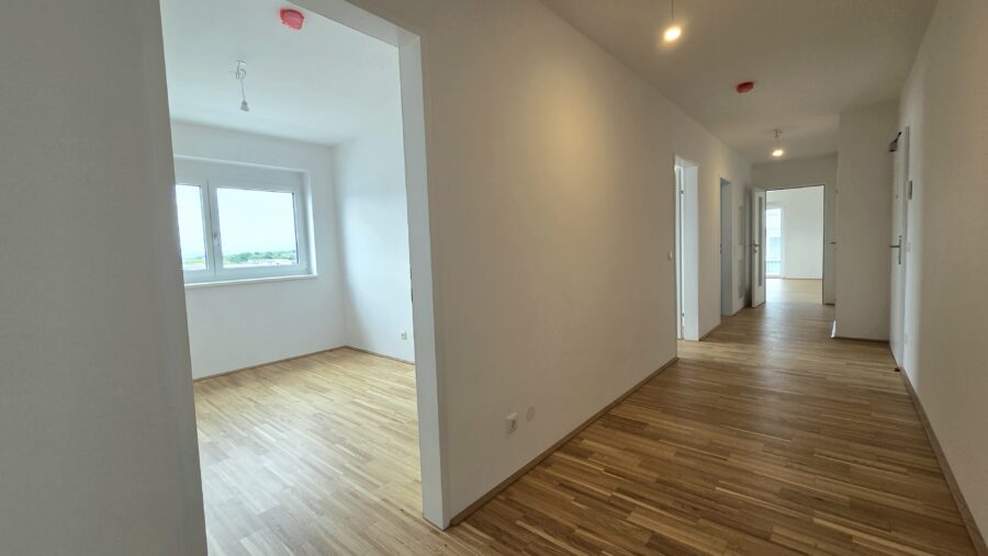Zuhause mit Aussicht – moderne 4-Zimmer-Neubauwohnung in Sattledt - 20260511_112045