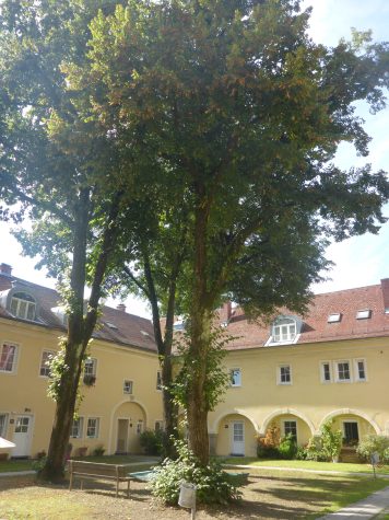 3-Zimmer-Wohnung mit separater Küche und eigenem PKW-Abstellplatz, 4040 Linz, Wohnung